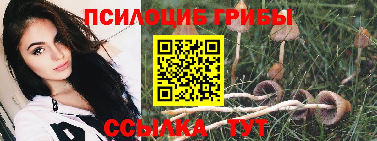 Тихвин  Галлюциногенные грибы прущие грибы  Псилоцибиновые грибы Psilocybe  Вход с VPN 